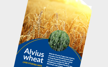 Alvius wheat case studies 2022